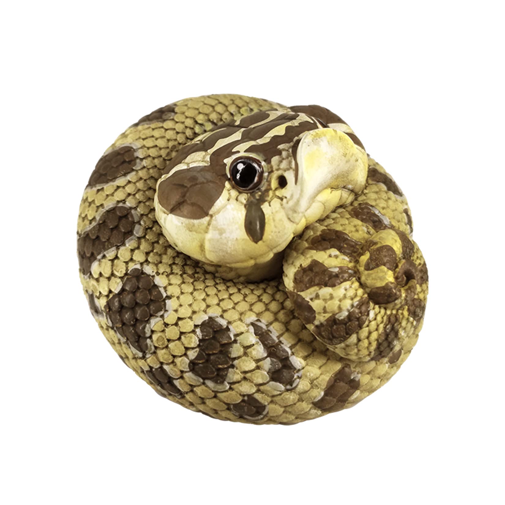 【動物の惑星】スーパーレア★ヤドク+ガメ+ヘビ★廃盤品&限定品!!フィギュア 動物の惑星】スーパーレア☆ヤドク+ガメ+ヘビ☆廃盤品&限定品