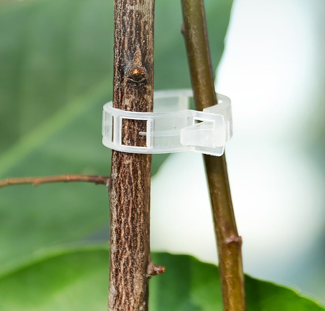 Set di 10 clip per piante rampicanti, adatte a pomodori, cetrioli, rose