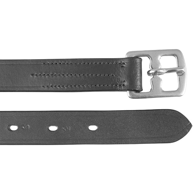 PFIFF 101222 - Correas para estribos (Hebillas de Acero Inoxidable, 1 par), Color Negro
