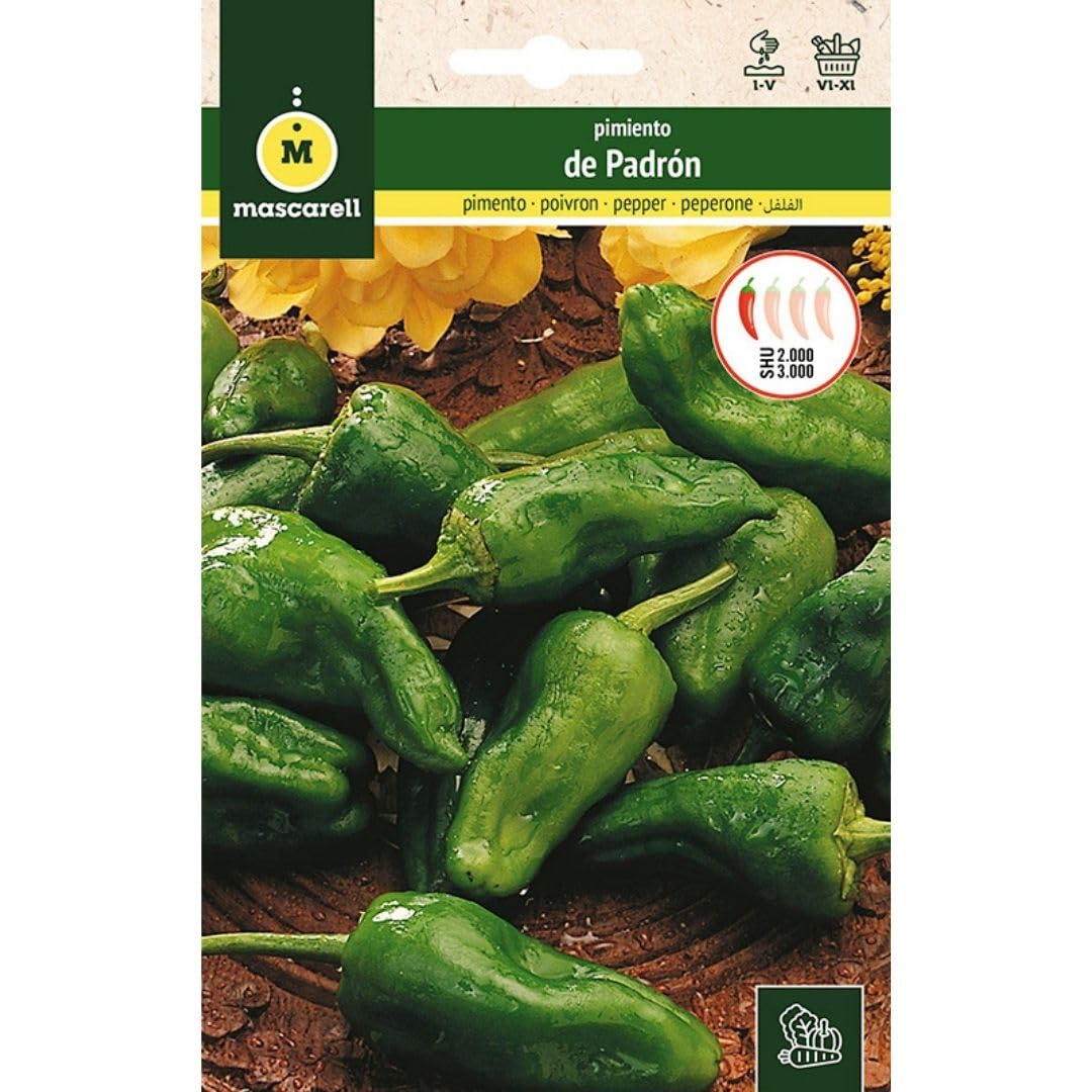 Mascarell Semillas, PIMIENTO, Semillas Huerto, PIMIENTO DE PADRÓN, Crea tu Propio Huerto Urbano y Cultivo en Casa, Plantas Hortícolas, 1 Gramos