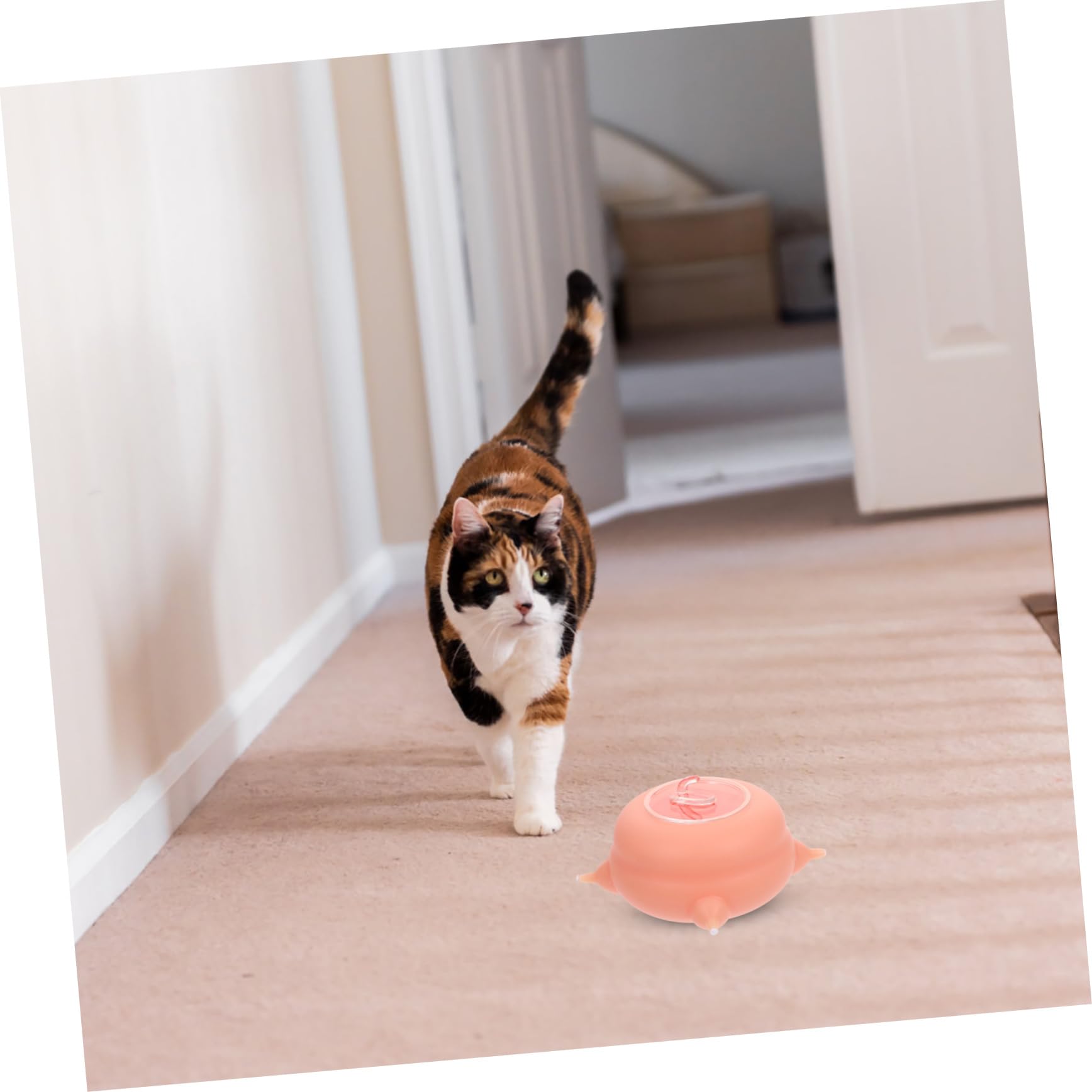 VANZACK Comedero Fácil de Limpiar y Almacenar de Silicona Rosa para Mascotas Recién Nacidas Herramienta para Alimentar Cachorros y Gatitos en Casa