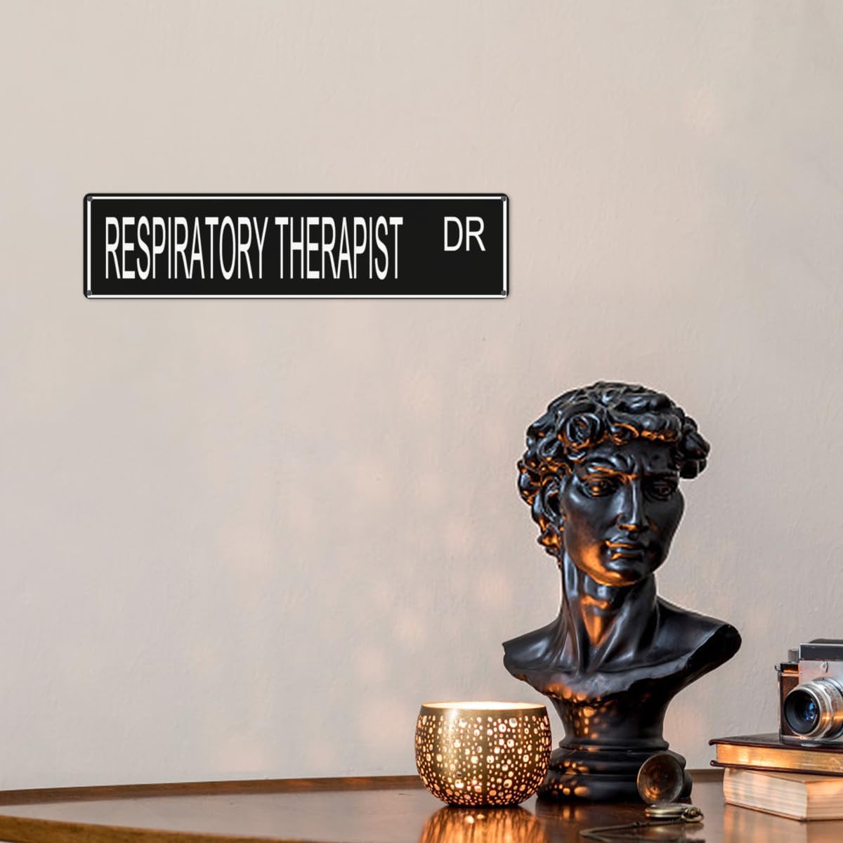 Respiratory Therapist Gift, Respiratory Therapist Sign, Hospital Employee, Custom Road Sign, Metal Sign (Many Background Colors Option)