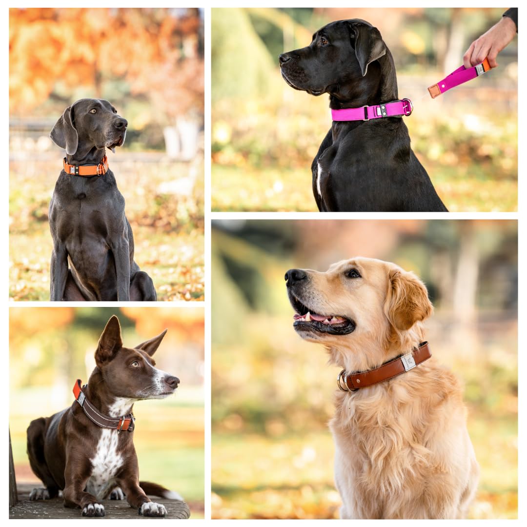 WowWow Professional Hundehalsband mit Leine - schwarz - Gre S 33-37 cm,  185g leicht, innovatives Halsband mit integrierter Leine - bekannt aus der  ...