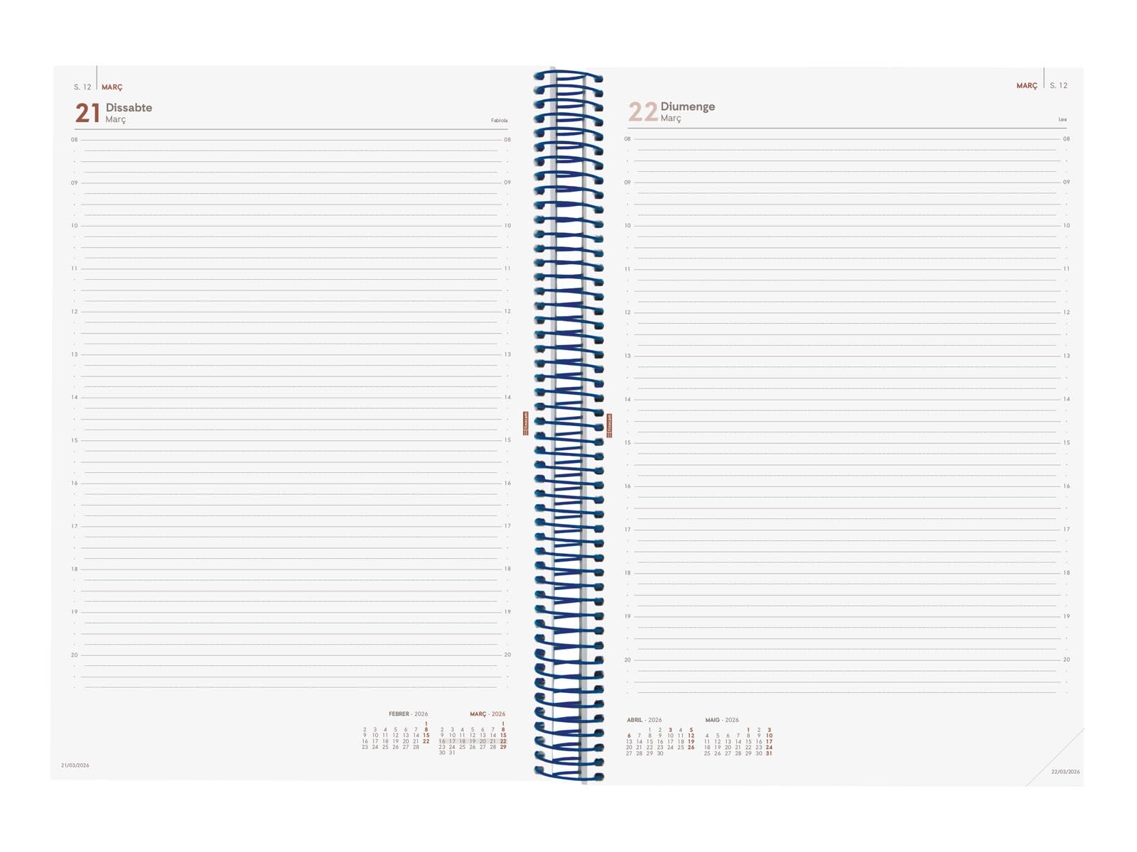 Finocam Agenda à spirale 2026 1 jour par page | janvier à décembre (12 mois) | Agenda A4 annuel 2026 avec élastique | Couverture en polypropylène à spirale Basics Year - Bleu catalan