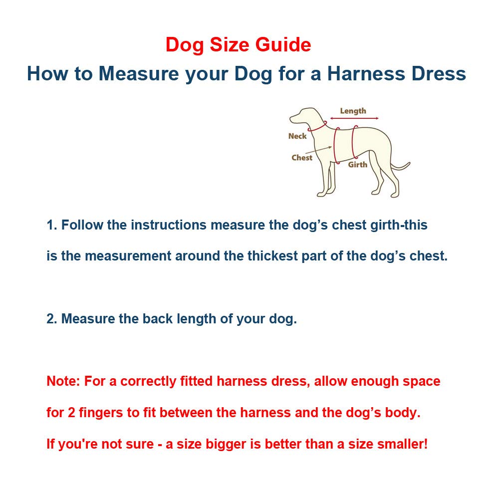 Leconpet - Arnés de Malla para Perros pequeños y medianos, Transpirable, cómoda Falda de arnés, Vestido de arnés para Perro