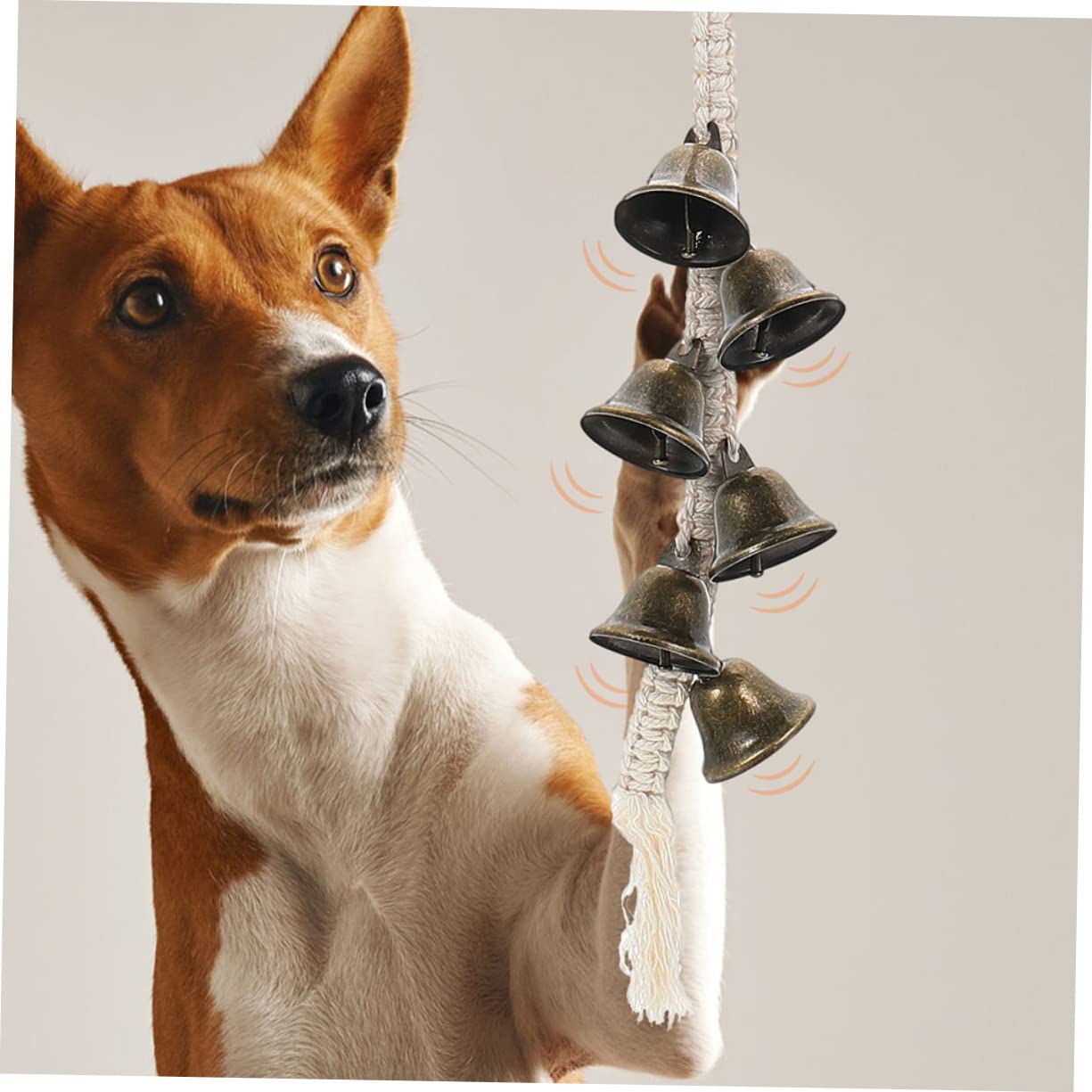 Levemolo Sturdy Pet Training Bells Rope Dog Doorbells for Puppies Indoor Hanging Doorbell Easy to Install