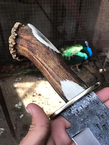 Miniatura 9 de Hoja forjada a mano de acero al carbono de 15.5 pulgadas, mango de cuchillo Bowie coleccionable, clip de latón con cuerno de ciervo (02 ciervo