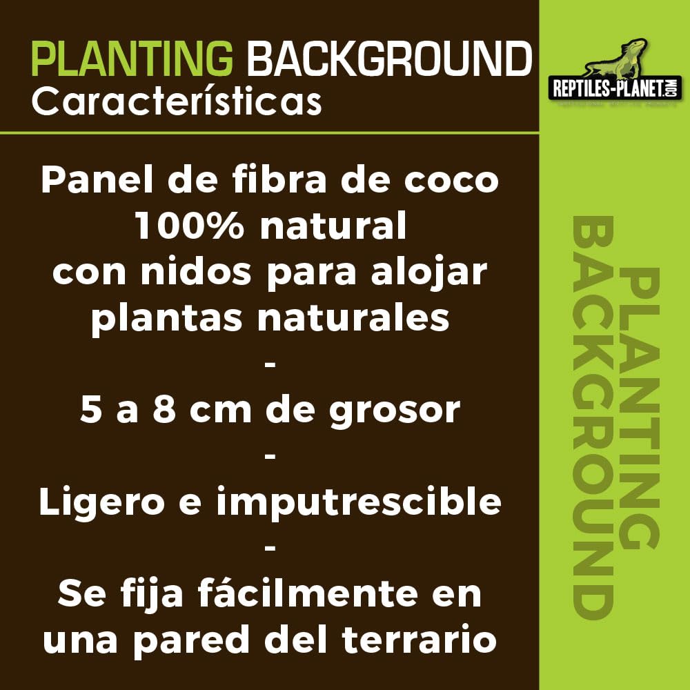 Reptiles Planet – Imagen de Fondo de Coco para terrarios para Planter 30 x 30 x 1 cm