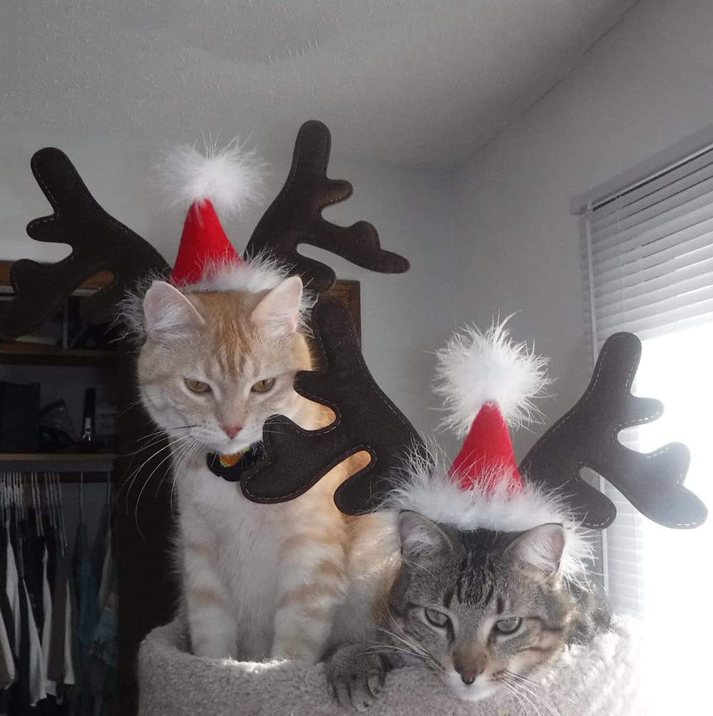 Weihnachtskostüm Katze Hundekostüme Weihnachten, Katze