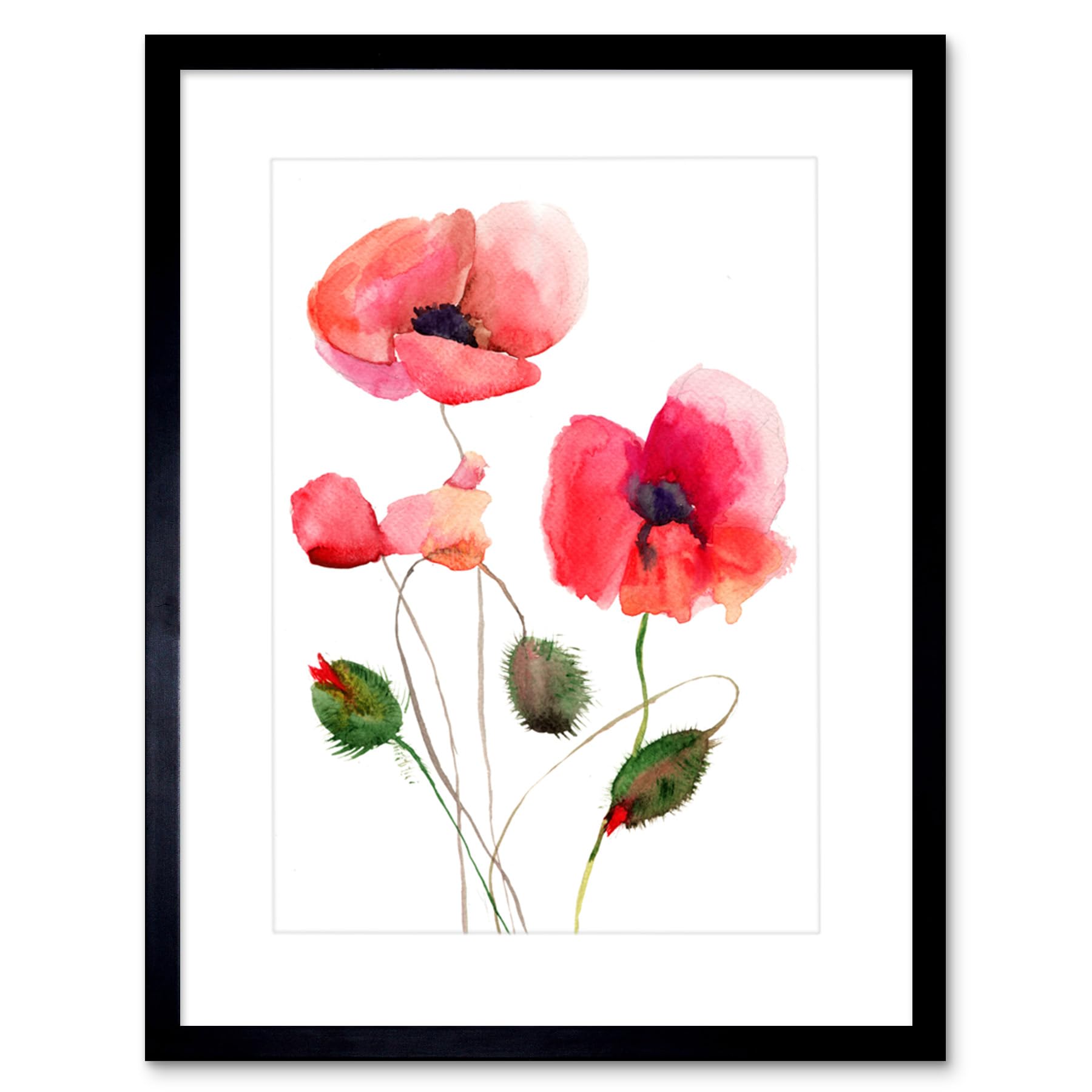 Wee Blue Coo Flower Poppies Watercolour Art Print Framed Poster Wall Decor 9x7 inch