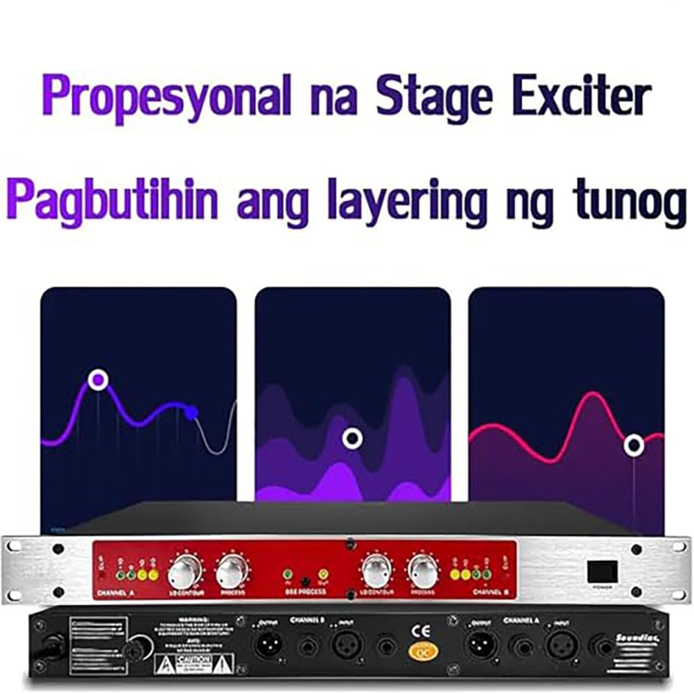 Processore audio professionale, doppio canale, autotune, eccitazione vocale & sonora, per karaoke casa, palco, spettacolo.