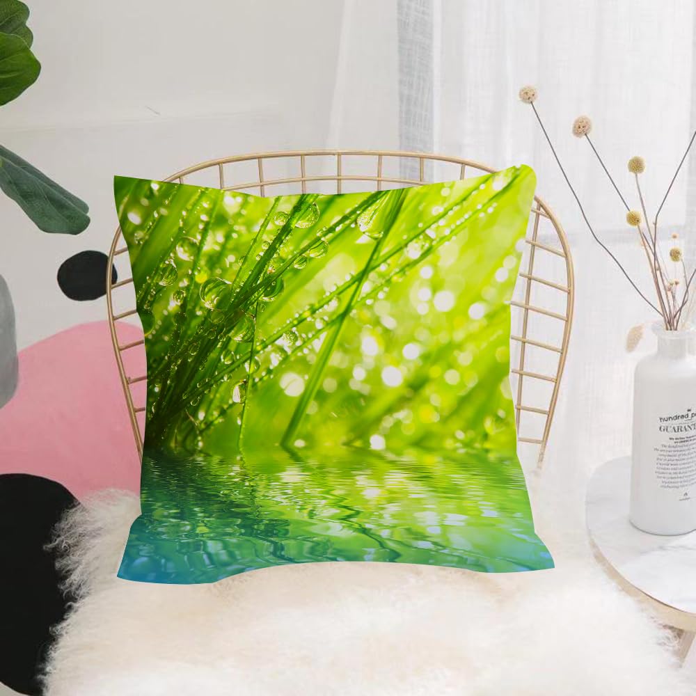 HYOSXW Cushion Cover,Throw Pillow Case Home Decorative for Living Room Bedroom Sofa Chair 16X16 Inch,Grass, herbs with morning dew, natural plants,Pillowcase 40X40cm
