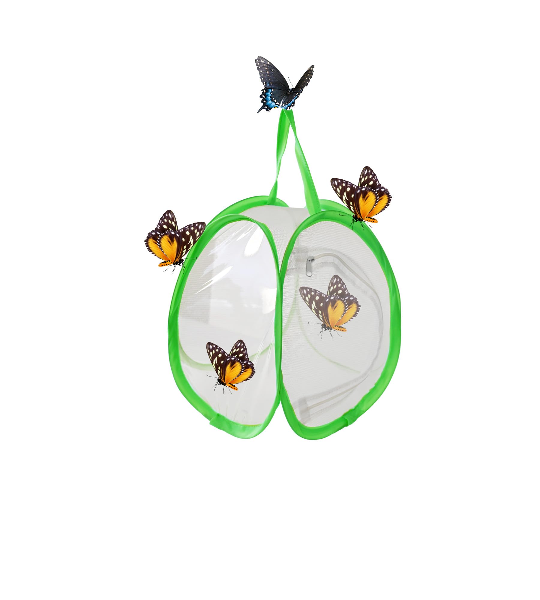 ZRNCRKY Butterfly Habitat Cage, Collapsible Insect Mesh Cage, Portable Insect Butterfly House with Zipper Garden Gifts(1pcs) - 2