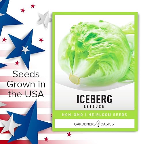 Miniatura 6 de Iceberg Semillas de lechuga para plantar variedad vegetal sin OMG 007oz de semillas ideales para primavera verano otoño jardín de invierno e