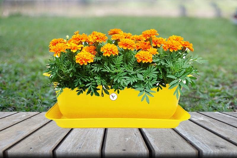 See full amazon price history chart for VINSHRA Rectangular Plastic Flower Pot/Planter/Gamla with Bottom Tray for Home, Window Display Lightweight, UV Resistant Set, Yellow, 20 inch, 2 Pieces VINSHRA Rectangular Plastic Flower Pot/Planter/Gamla with Bottom Tray for Home, Window Display Lightweight, UV Resistant Set, Yellow, 20 inch, 2 Pieces (B08JKDYGC1) Amazon Price History, Amazon Price Tracker