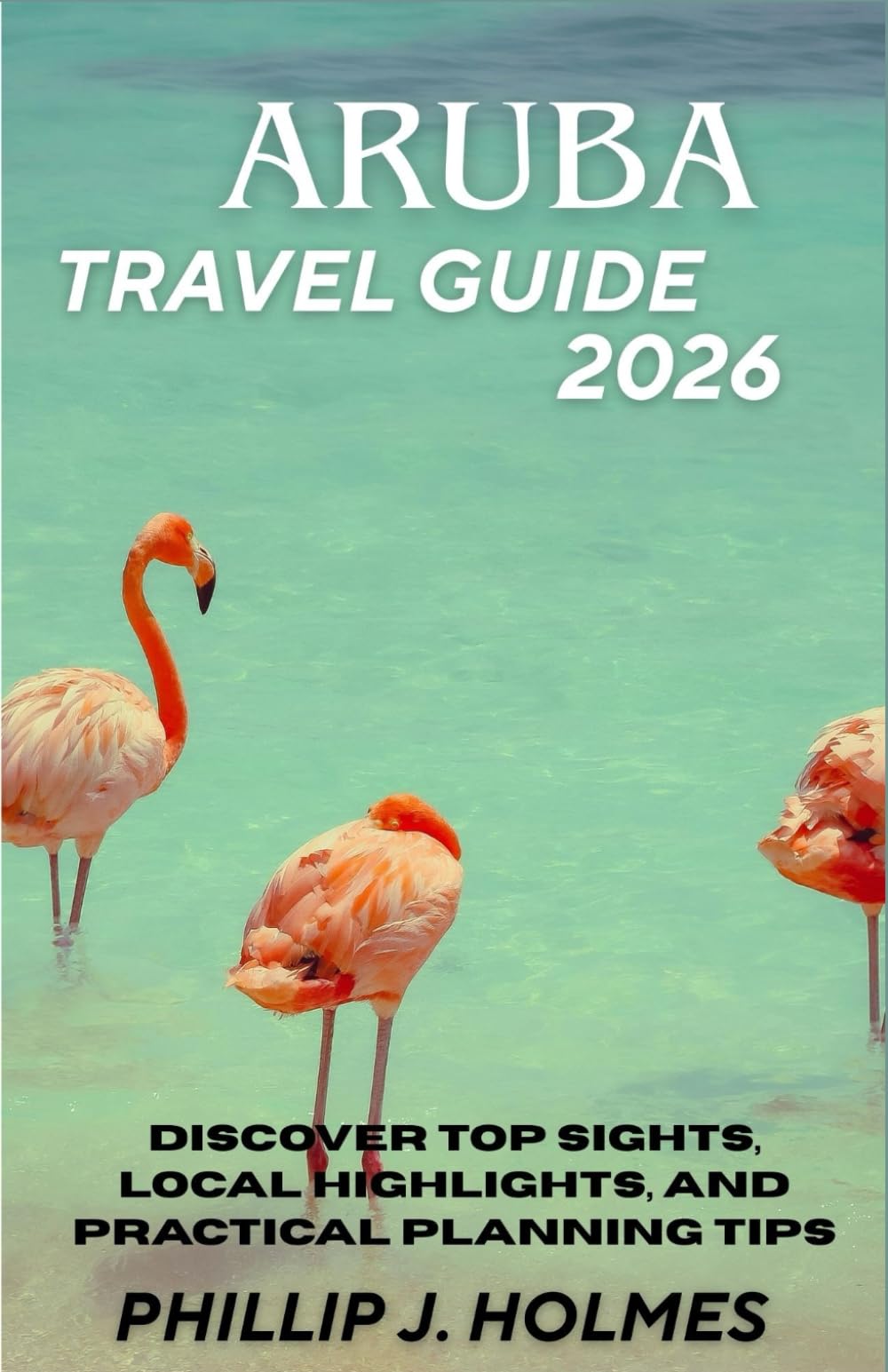 ARUBA TRAVEL GUIDE 2026: Discover Top Sights, Local Highlights, and Practical Planning Tips