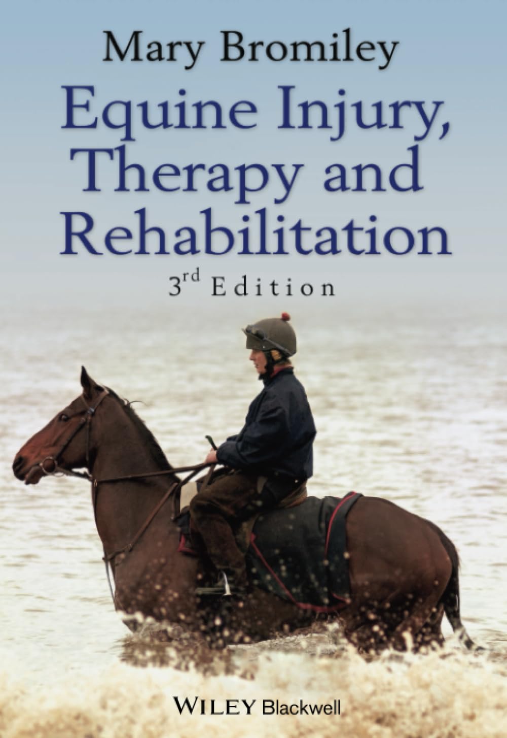 Equine Injury, Therapy and Rehabilitation,Mary Bromiley- 9781405