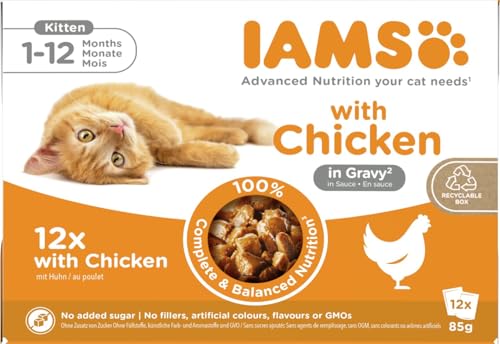 IAMS Advanced Nutrition Alimento húmedo en Salsa, para Gatitos con Pollo, 12 x 85g