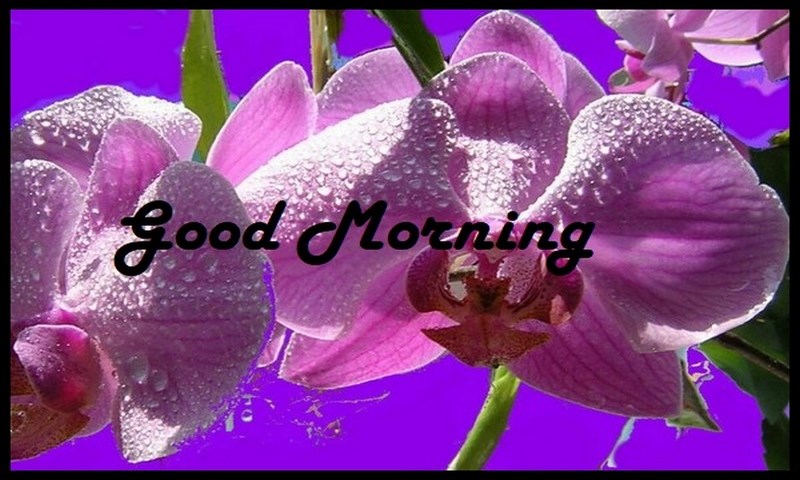 Good Morning Wishes - App on Amazon Appstore