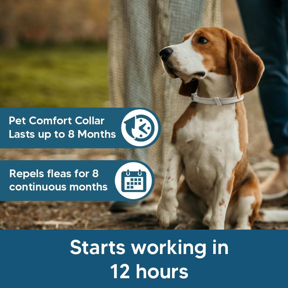Dog Flea & Tick Collar for Dogs – Pack of 2 | Adjustable, Water-Resistant, Natural Ingredients | Rapid & Safe Protection for All Breeds 4