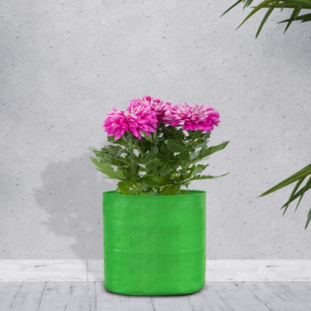 Dharneesh Terrace Gardening Leafy Vegetable Green Grow Bag - 250 GSM (18 x 24, 4) (B09NBRLFY8) Amazon Price History, Amazon Price Tracker