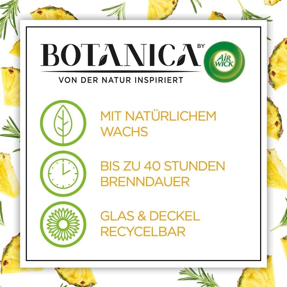 Botanica by Air Wick Świeca zapachowa – zapach: słodka trawa i drzewo sandałowe – zrównoważona produkcja z naturalnych składników – 500 g świeca w słoiku, 3185467, brązowa