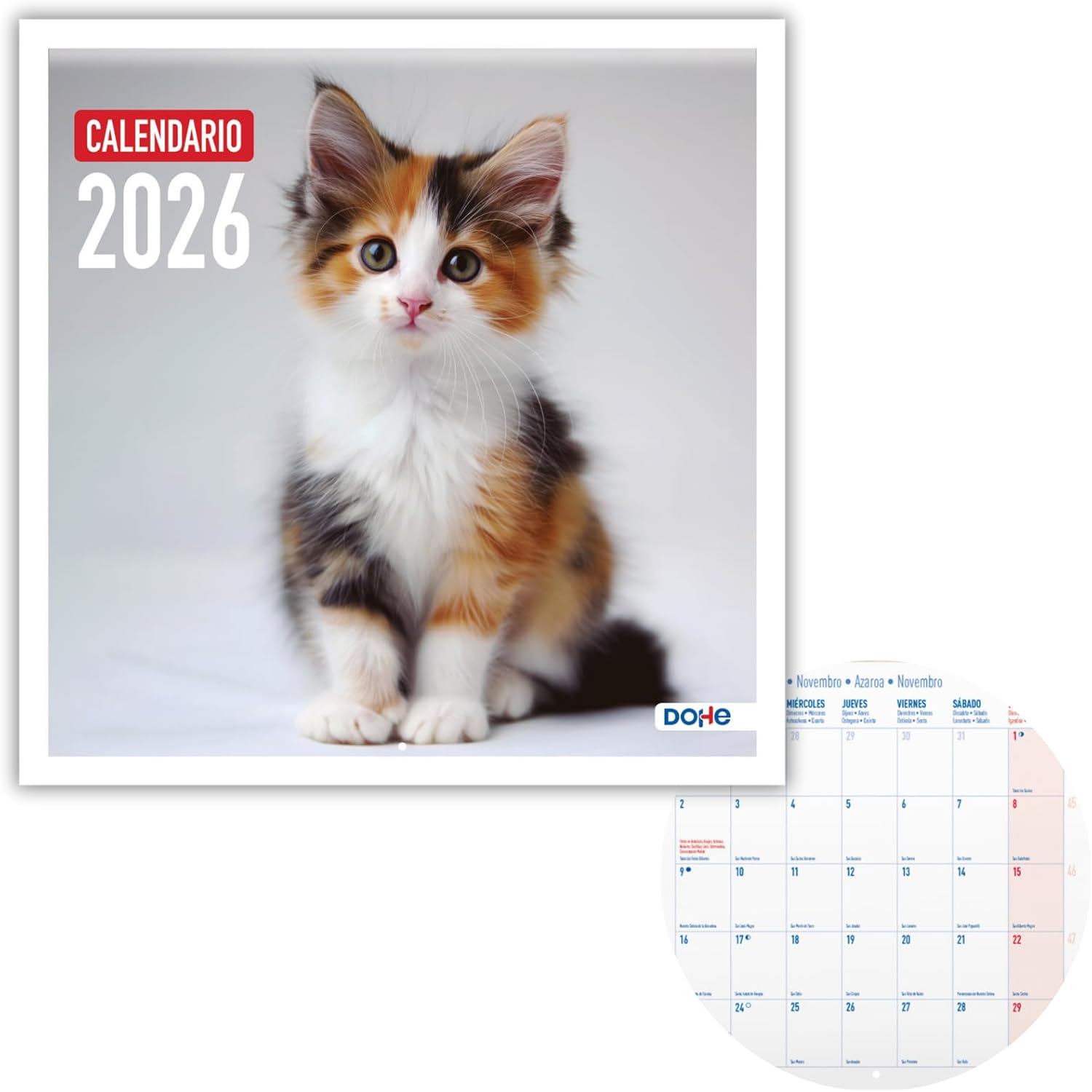Dohe Wall Calendar 2026-12 Months January to December Monthly View 30 x 30 cm Spanish Language Stapler Binding Space for Notes Year Planning Thick Paper 120gsm Exotic Birds