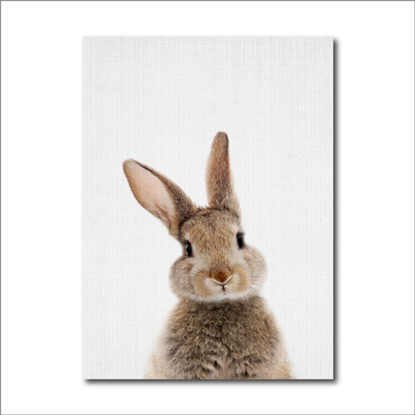 Conejito Conejo Cola Lienzo Pintura guardería Pared Arte Animal Cartel impresión nórdico Bosque Imagen para bebé niños habitación decoración 60x90cm (24x35in) x2 sin Marco