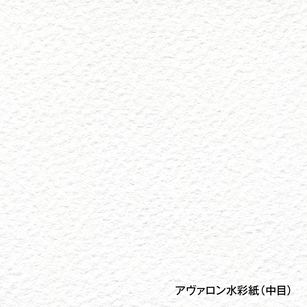 Amazon.co.jp: ホルベイン アヴァロン水彩紙 AVS-F3 中目 300g F3
