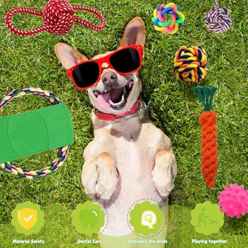 Aoksily Jouets pour Chien,12 Pièces de Jouet Chiot Chien,Corde Durable Indestructible à Mâcher pour Petit et Moyen – Image 6