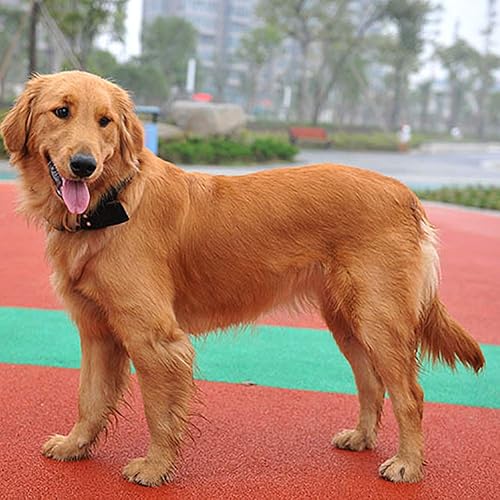 Miniatura 9 de Love Dream - Collar militar ajustable de nailon táctico para perro, con anillo de metal en D y hebilla para perros grandes y extragrandes., L