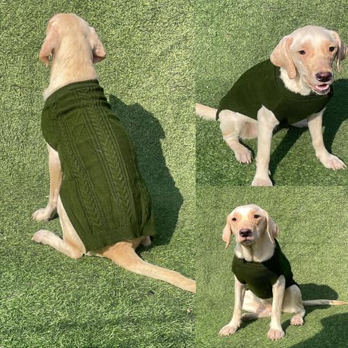 Image of Lulala Turtleneck Dog Sweater, Dog Winter Clothes for Small Dogs Boy Girl, Warm Dog Sweater for Small Dog (Green-12 Inch)