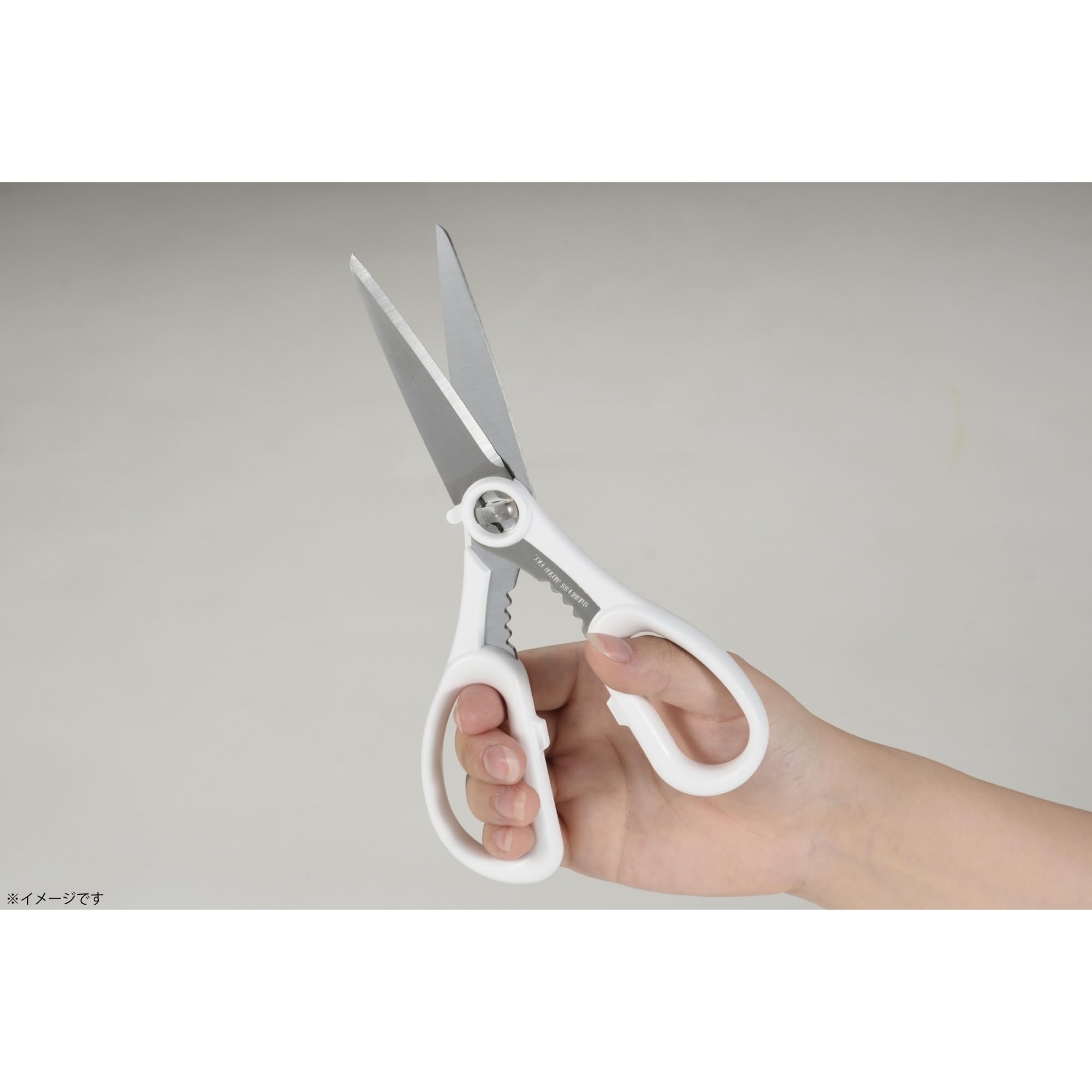 Takagi Clean Kitchen Scissors with Antibacterial Handle, Made in