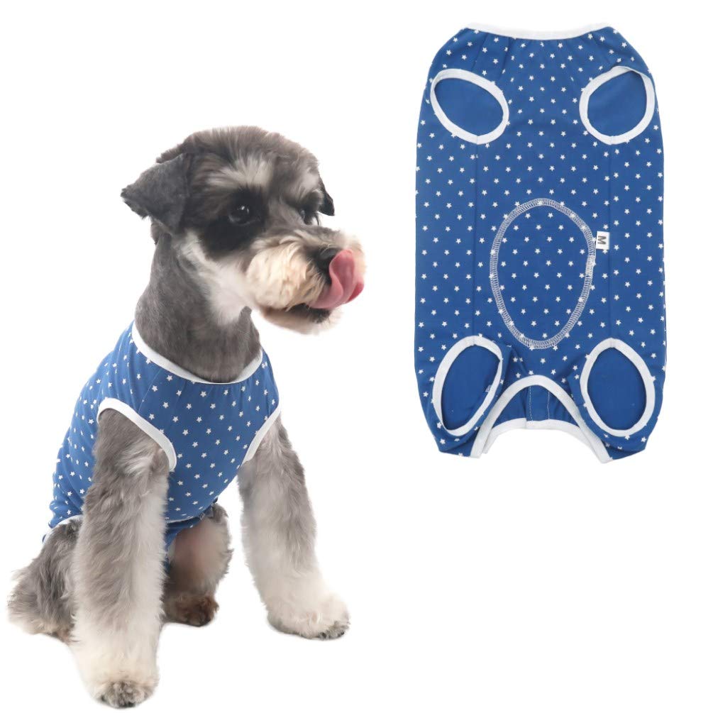 Buy Due Felice Dog Professional Surgical Recovery Suit for Abdominal