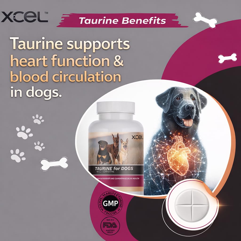 Amazon.com : XCEL Taurine for Dogs 1000 mg Supplement with L-Carnitine, Quarter Scored Tablets (250 mg Split), Up to 240 Servings, Supports Heart, Eye & Energy Health : Pet Supplies Amazon.com : XCEL Taurine for Dogs 1000 mg Supplement with L-Carnitine, Quarter Scored Tablets (250 mg Split), Up to 240 Servings, Supports Heart, Eye & Energy Health : Pet Supplies