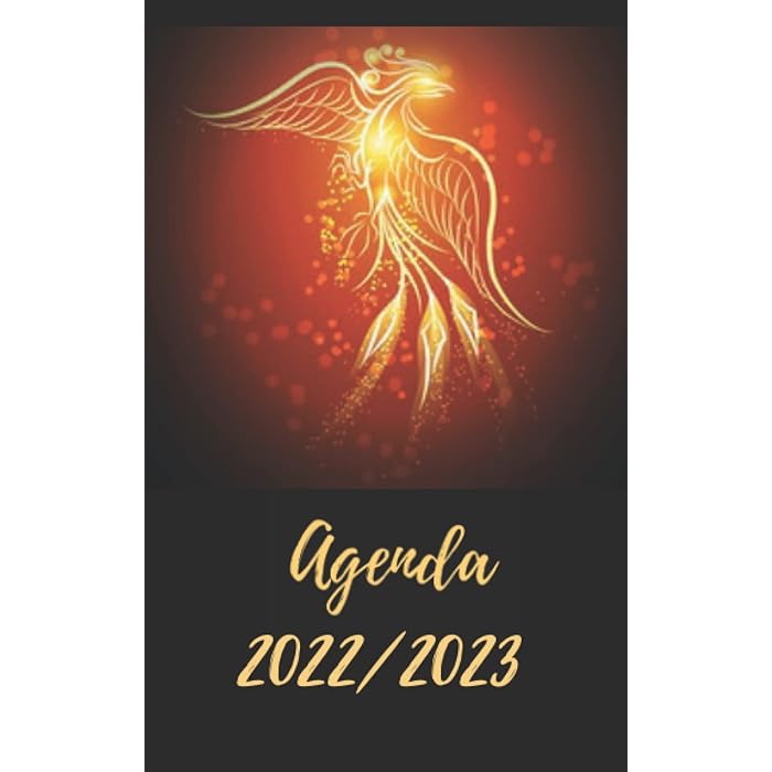 Buy Agenda 2022 2023 Planificateur Scolaire Journalier Emploi Du