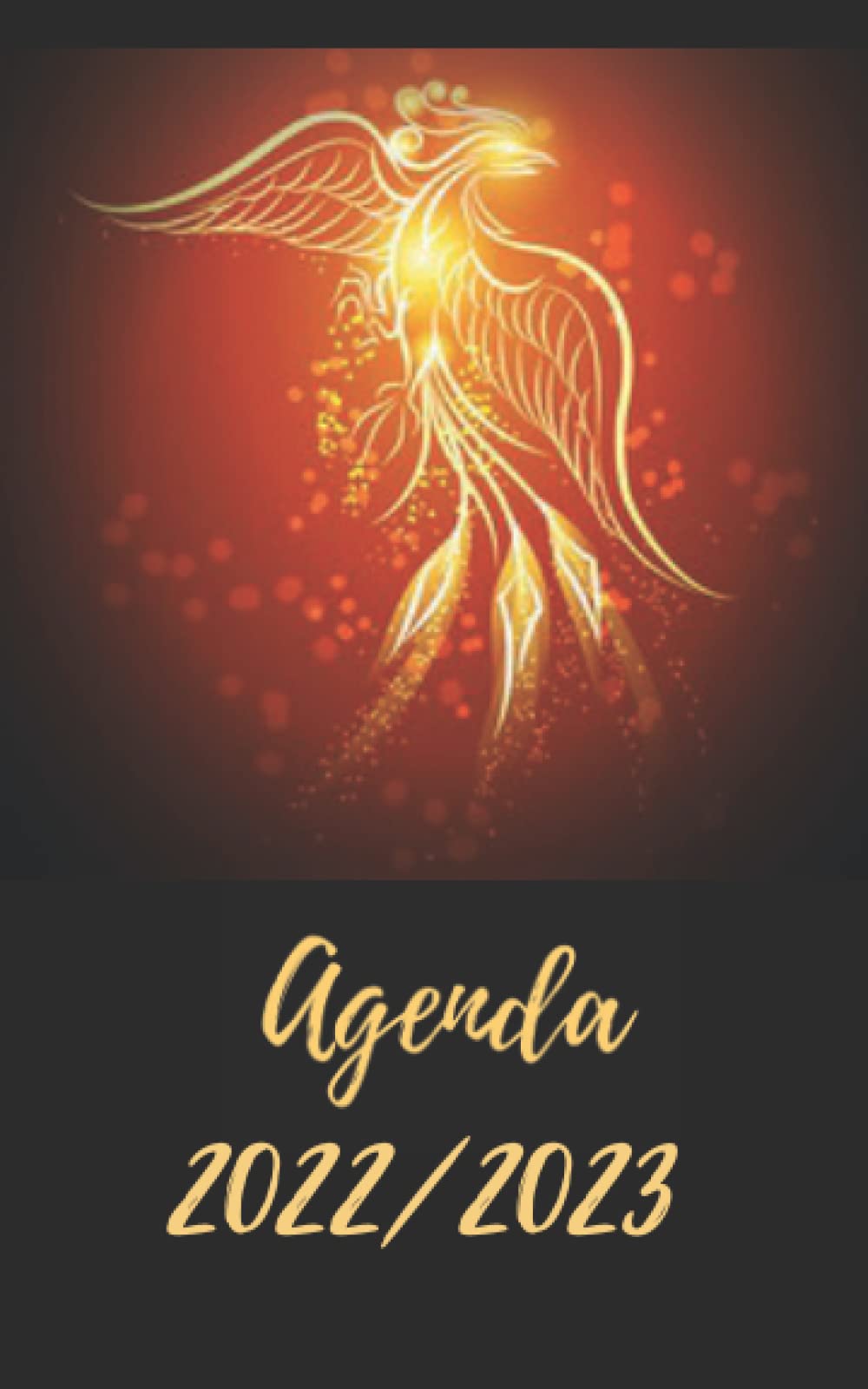 AGENDA 2022/2023: Planificateur scolaire journalier | Emploi du temps | Calendrier | Une page par jour