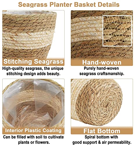Kaheign 3Pcs Seagrass Planter Basket, 3 Size Woven Plant Pot Indoor Outdoor - Flower Pots Cover Storage Basket Plant Containers For Home Decor (Beige) - 2