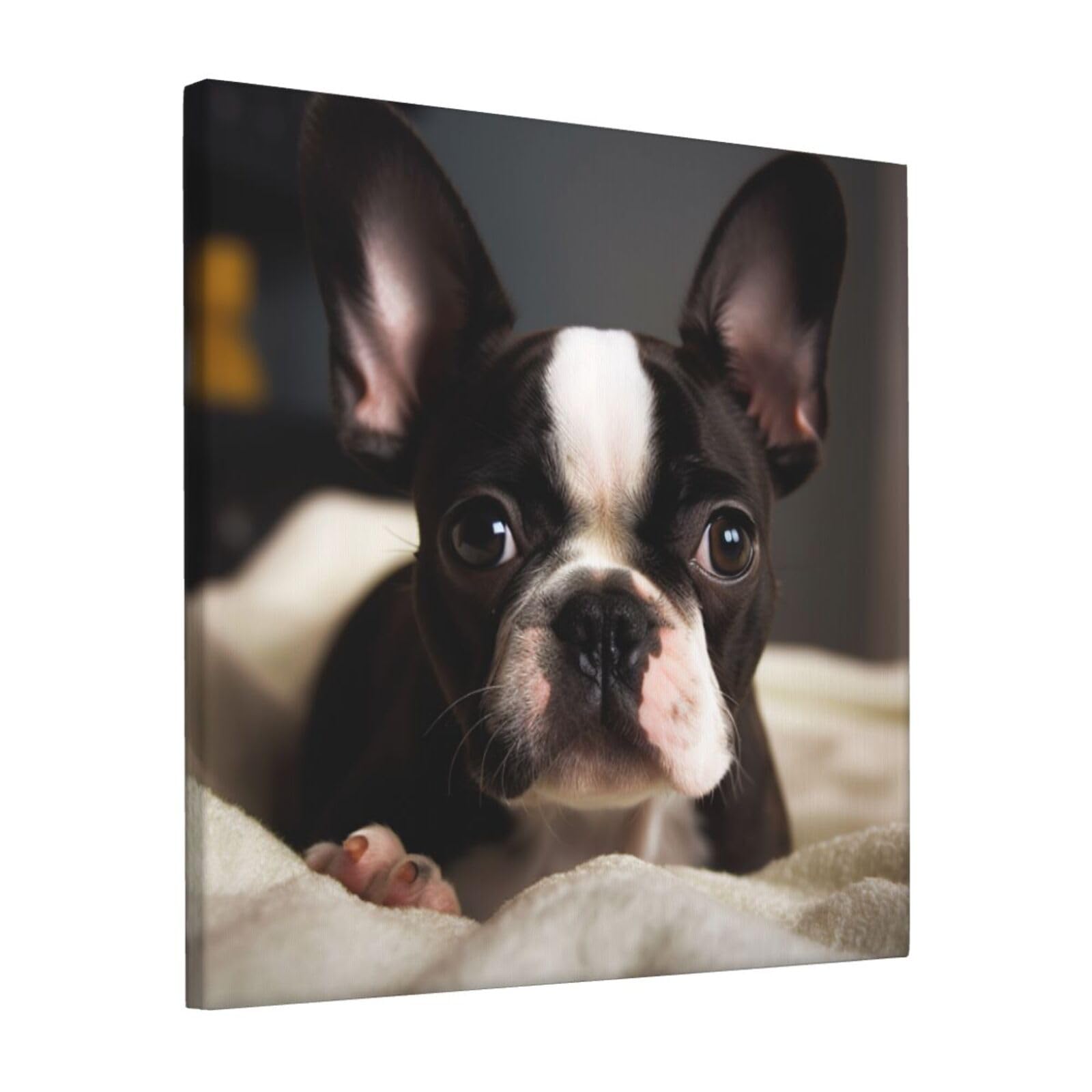 FodPand Cute Boston Terrier Canvas Wall Art for Living Room Wall Decor 12"x12" Modern Artwork Painting Pictures Hanging Canvas Prints Aesthetic Wall Art for Bedroom Bathroom Office Wallart Decor