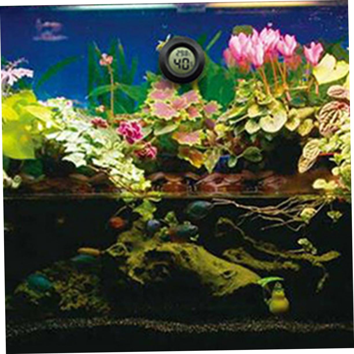 YARNOW 14pezzi Mini Termometro Igrometro Digitale per Terrario Misuratore di umidità e Temperatura per Rettili Compatibile per Uso Ed Esterno e Resistente