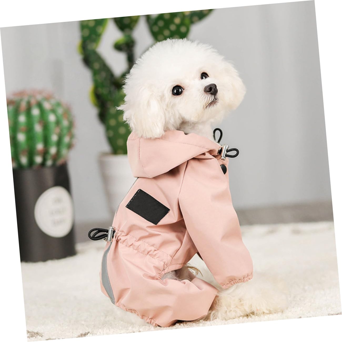INOOMP 2pezzi Cappotto Riflettente Per Cani Regolabile Giacca Per Cani Da Pioggia Traspirante Taglia Per Occasioni Speciali e Foto