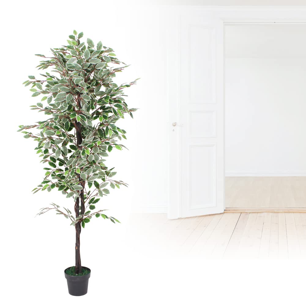 Decovego Sztuczna roślina Benjamin Ficus sztuczne drzewko w doniczce, tworzywo sztuczne, roślina pokojowa, jak prawdziwa dekoracja, dekoracja wewnętrzna 180 cm