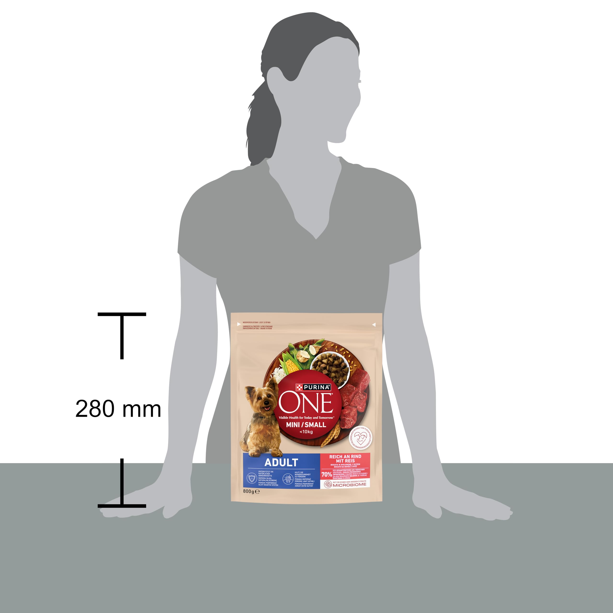 PURINA ONE Mini/Small Delicate karma dla psów sucha dla małych psów, bogata w łososie i ryż, 8 sztuk w opakowaniu (8 x 800 g)