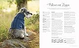 Strickbuch Hund – Strick-Lieblinge für deinen Hund: Kleidung, Accessoires und Spielzeug für fröhliche Fellnasen. Hundepullover im Scandi-Stil stricken.