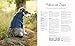 Strickbuch Hund – Strick-Lieblinge für deinen Hund: Kleidung, Accessoires und Spielzeug für fröhliche Fellnasen. Hundepullover im Scandi-Stil stricken.