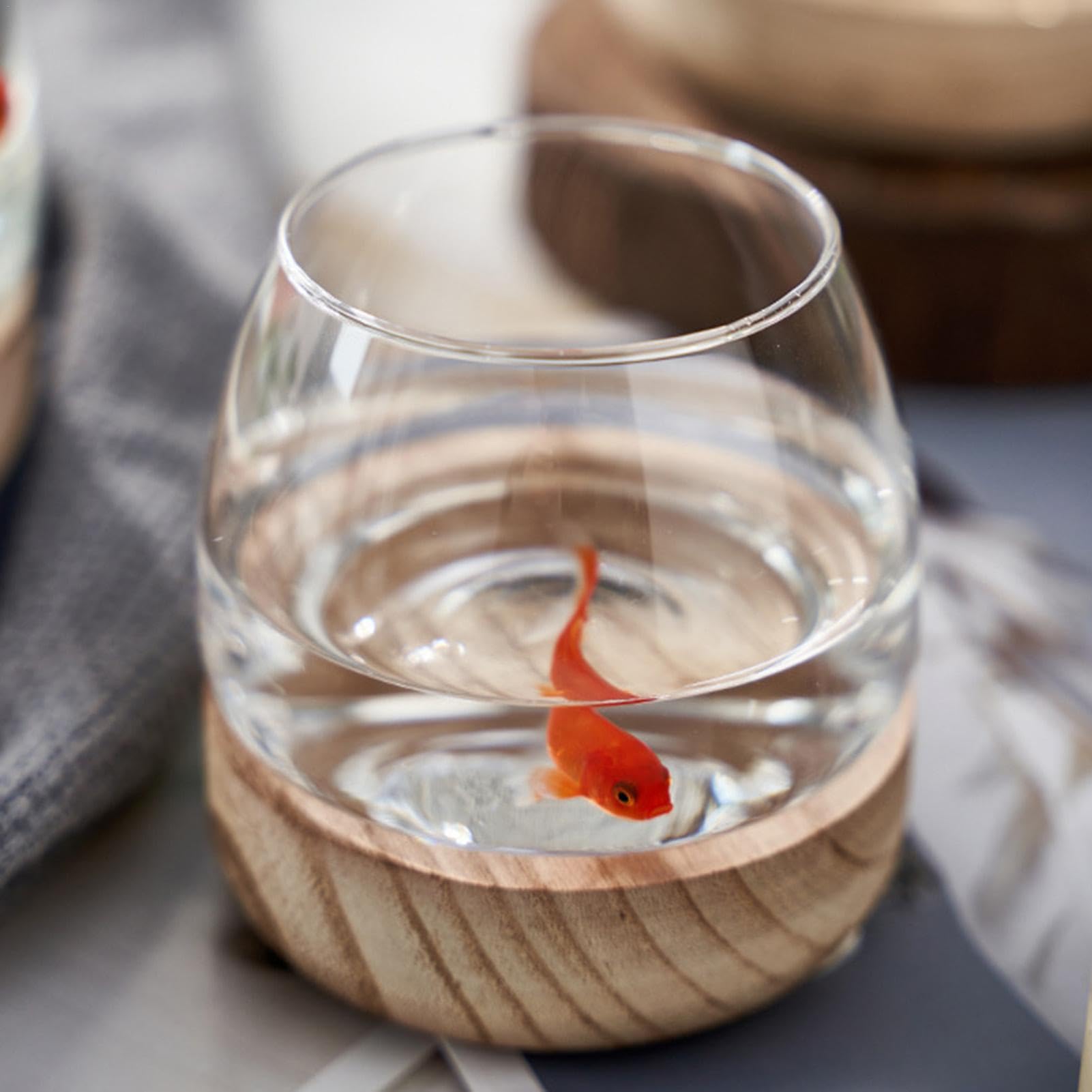 Bocal à Poisson en Verre avec Base en Bois - Aquarium Boule Transparent pour Poisson Rouge Betta - Vase pour Plante Hydroponique et Aquariophilie