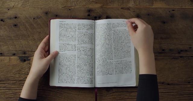 Image of ESV Large Print Thinline Bible, Red Letter (TruTone, Burgundy /Red, Timeless Design): Holy Bible, English Standard Version