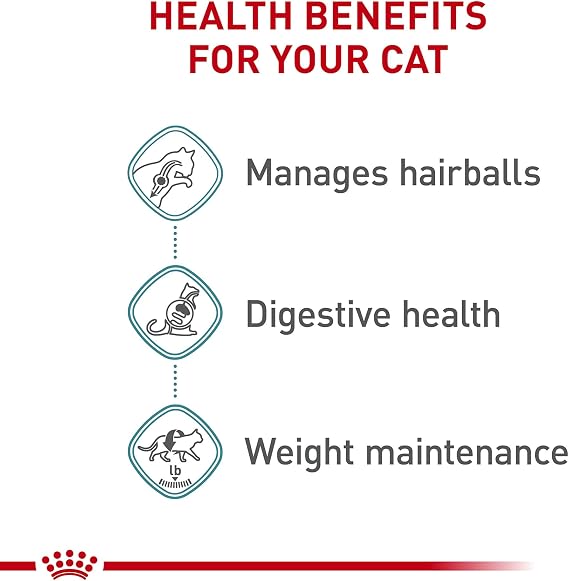 Royal Canin Feline Care Nutrition Hairball Care Adult Thin Slices in Gravy Cat Food, 3 oz (Pack of 6)