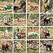 EOIVSH Forest Animal Figures, 16pcs Jungle Animal Toys Figurines, Wild Toy Figures & Playset Gift for Kids 3 4 5 6 7+ Years Old