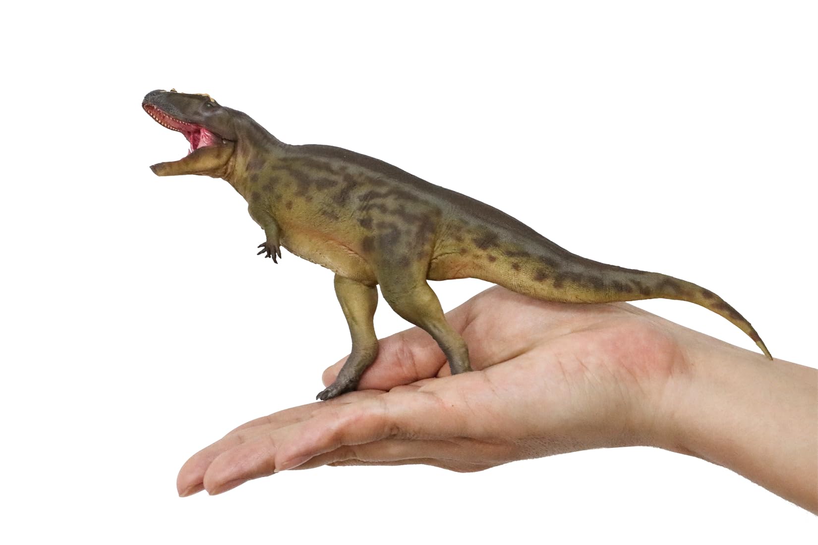 Figurine dinosaure préhistorique AMITD Tameryraptor aux détails sculptés